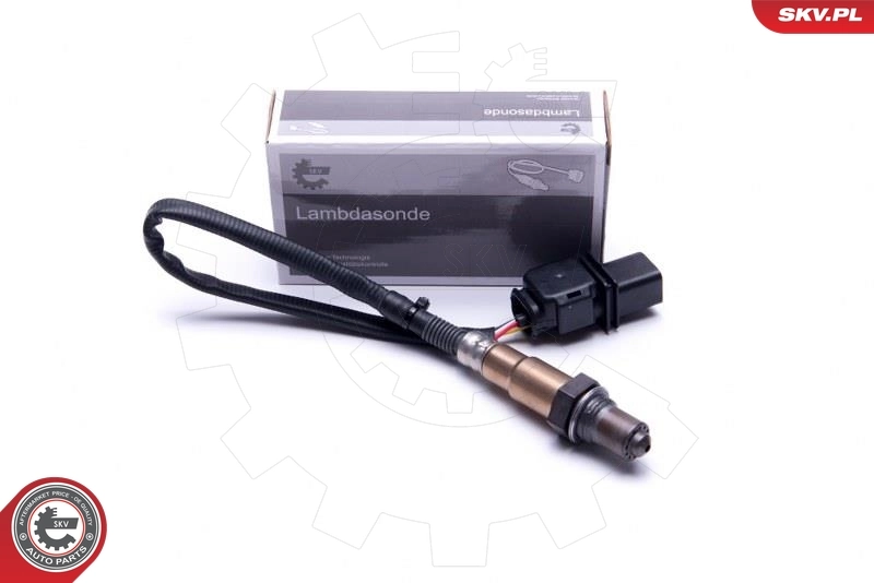 Oxygen Sensor